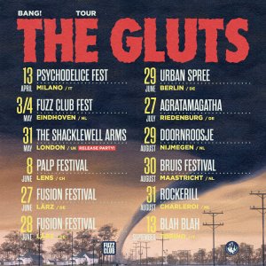 Holiday in the sound! : The Gluts