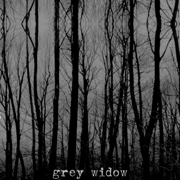 Grey Widow