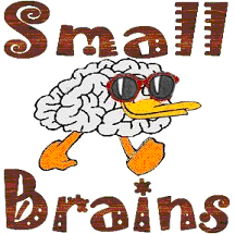 Small Brains