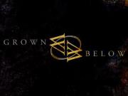 Grown Below