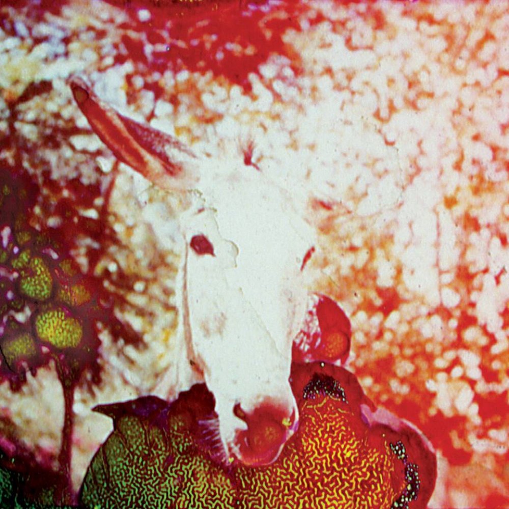 Jerusalem In My Heart