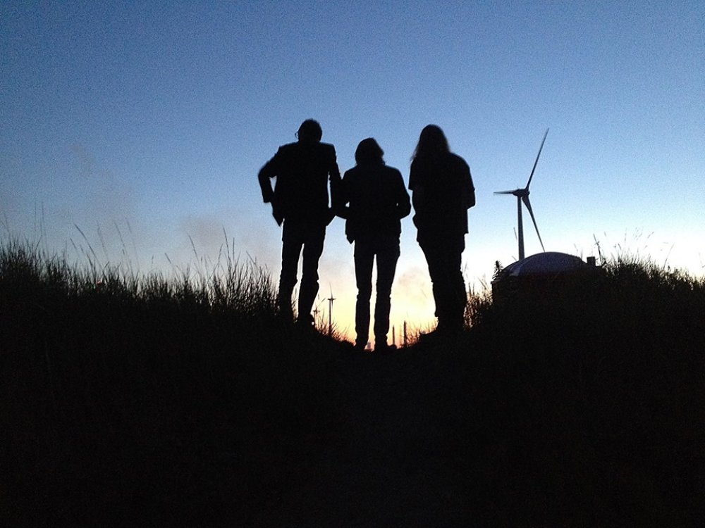 Needle And The Pain Reaction